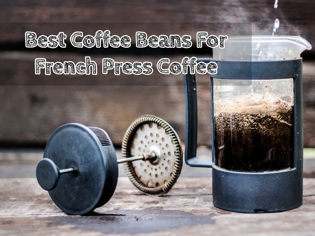 Best Coffee Beans For French Press Coffee