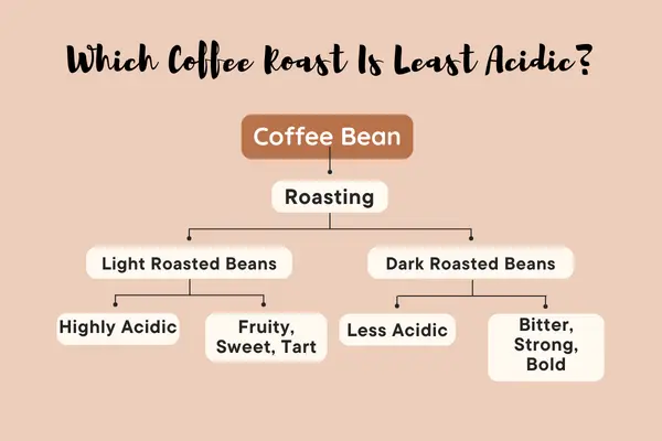 Which Coffee Roast Is Least Acidic?